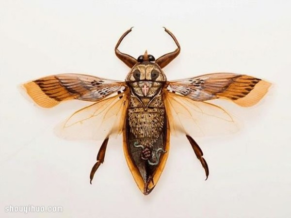 Scary but beautiful! Mask painting on insect specimens