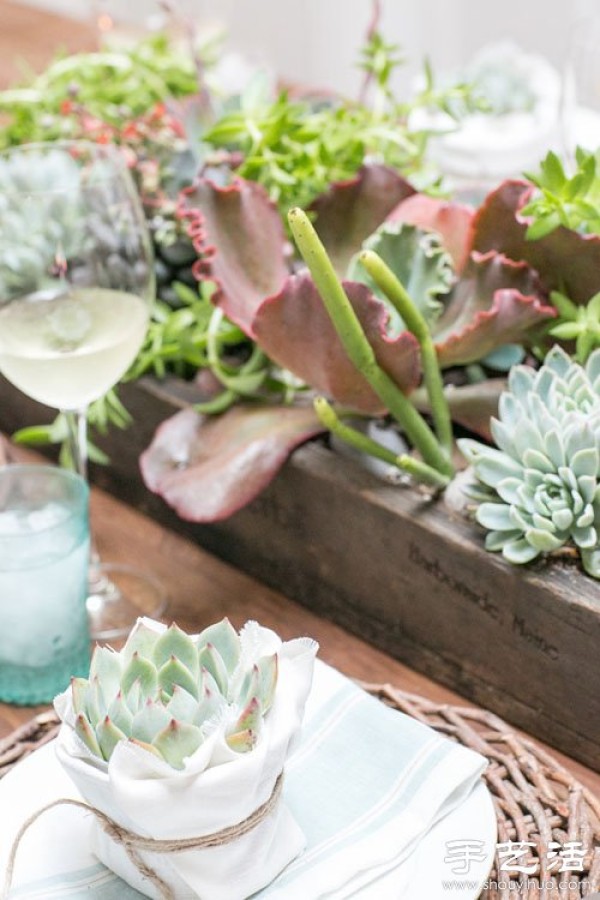 Creative DIY small fresh succulent plant pots