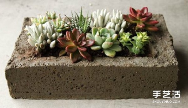 DIY succulent flowerpots can be made with many incredible materials~