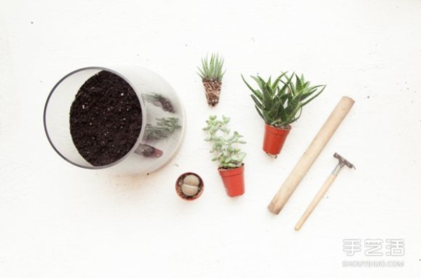 How to make your own small fresh succulent plant pots