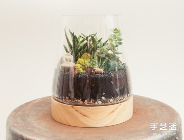 How to make your own small fresh succulent plant pots