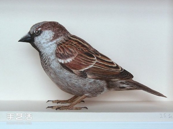 Pictures of master-level bird paper models with detailed paper bird models