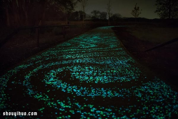 The bicycle path that looks like the bright night sky is incredibly romantic! 