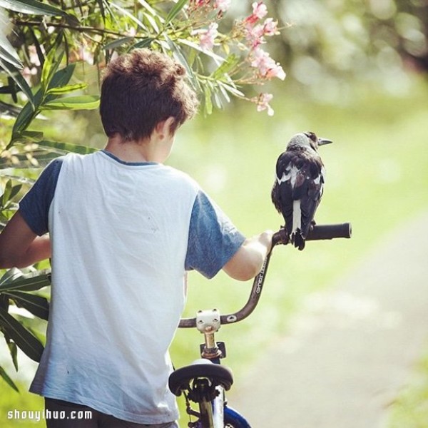 The heart-warming story of the little boy Noah and the magpie Penguin