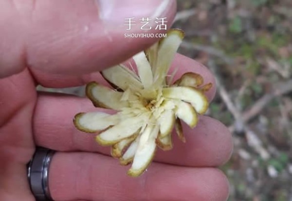 Illustrated tutorial on how to carve simple handmade branches to make flowers