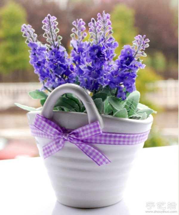 How to grow lavender, how to grow lavender