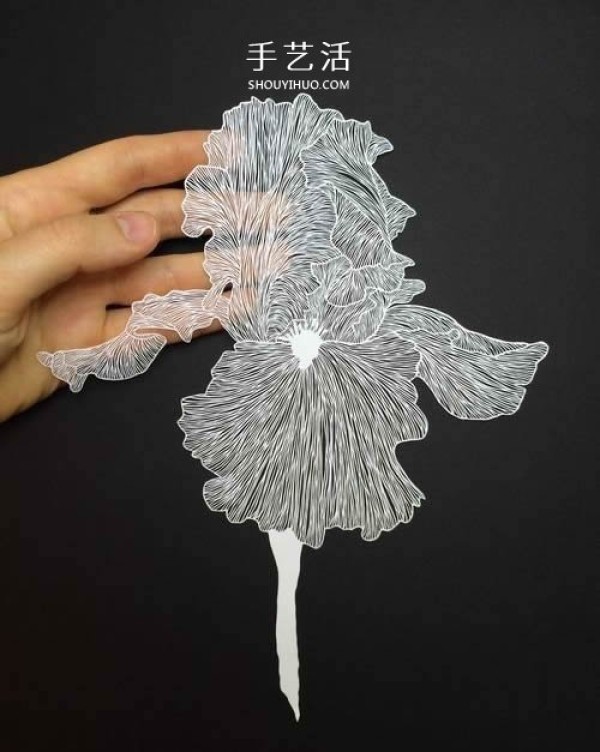 A comprehensive collection of master-level two-dimensional paper sculptures, making A4 paper worth ten thousand times! 