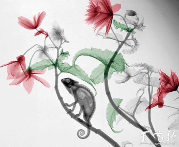 Creative photography works like ink painting