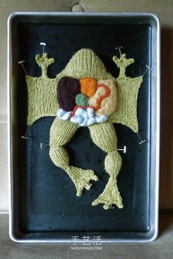 Animal anatomy knitted works! Turn anatomy scenes into cute displays