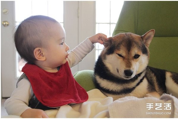 Photography of a cute little boy and his best dog friend