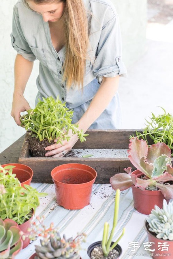 Creative DIY small fresh succulent plant pots