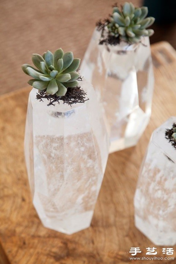 10 Creative Flower Pots and Potted Plants for Decorating Modern Homes