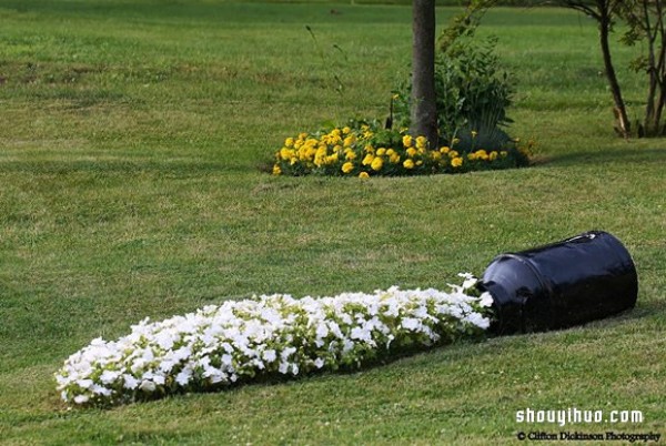 Spilled Flower Pots gardening method makes the backyard look like a picture