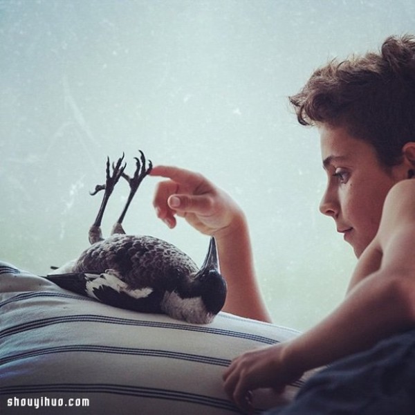 The heart-warming story of the little boy Noah and the magpie Penguin