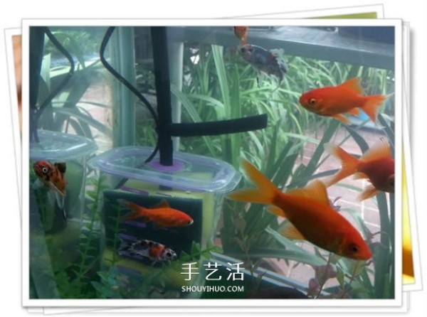 How to make a homemade fish tank filter for just a few dollars, very practical! 