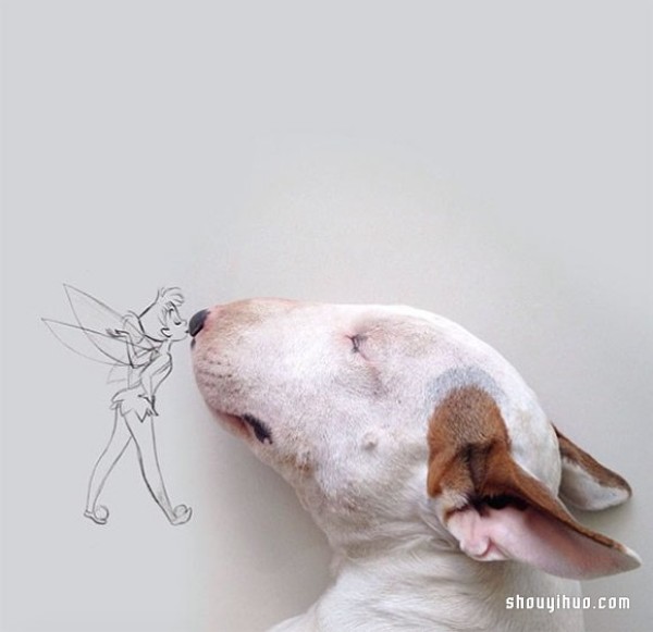 Graffiti on the wall: Turn your pet dog into an interesting illustration work