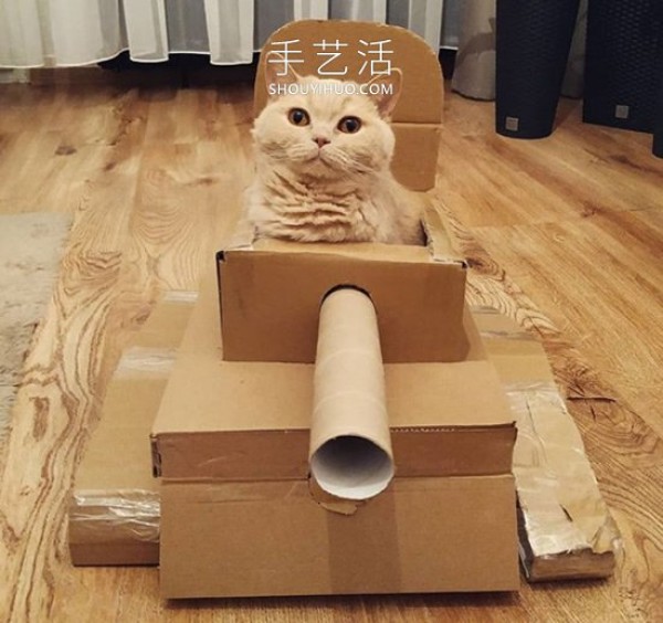 People in quarantine make cardboard tanks for cats