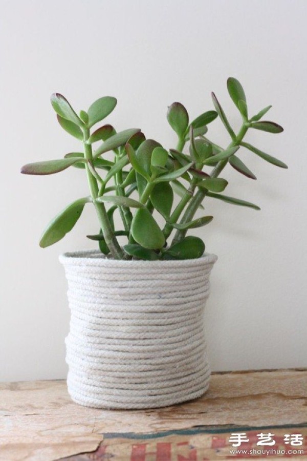 10 Creative Flower Pots and Potted Plants for Decorating Modern Homes