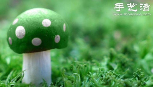 Beautiful and dreamy mushrooms, it turns out that mushrooms can also be viewed