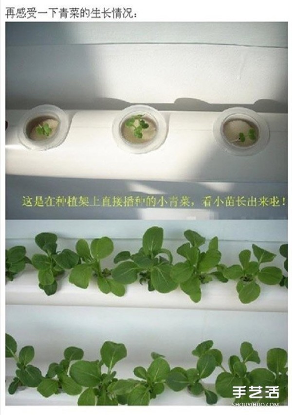 PVC pipe vegetable planting design drawing and the method of using PVC pipes and balcony to grow vegetables