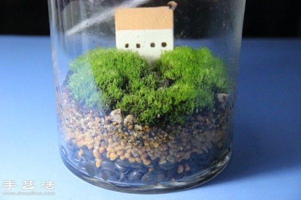 DIYCute moss landscaping homemade beautiful moss micro landscape