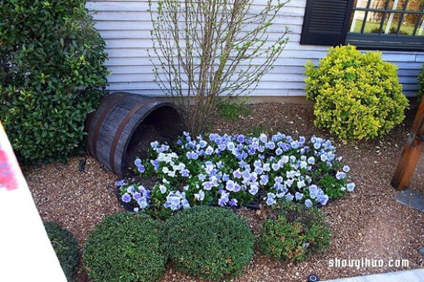 Spilled Flower Pots gardening method makes the backyard look like a picture