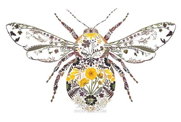 Use pressed flowers and leaves to create beautiful animal illustrations