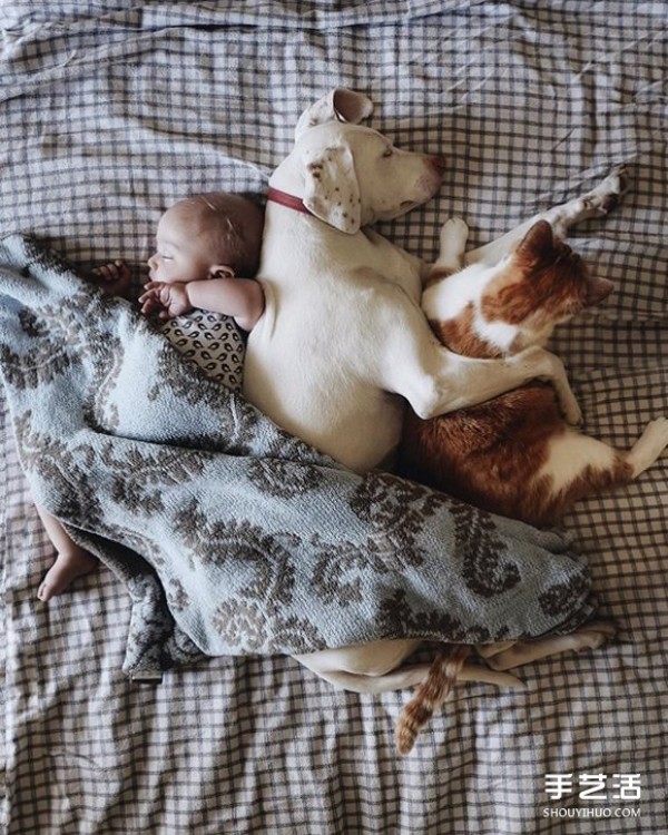 3 Meow x3 Woof x3 Wa: 100% love between 9 children and them Love