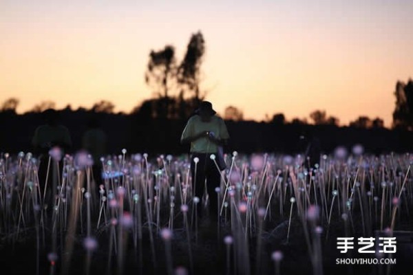 50,000 light bulbs DIY create a field of light that shines in the heart of Australia