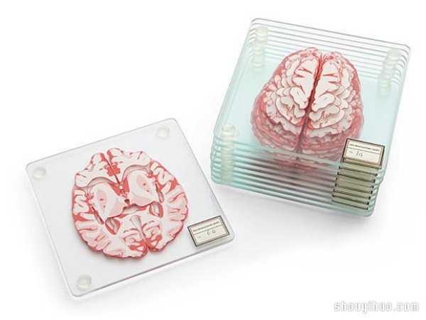 Brain slice glass coaster launched by ThinkGeek