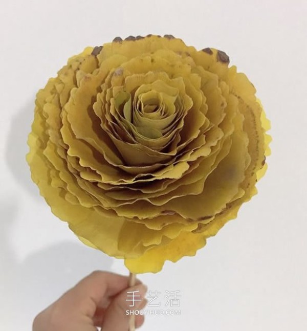 Illustrated tutorial on how to make homemade ginkgo leaf roses