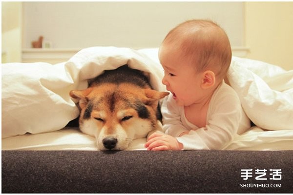 Photography of a cute little boy and his best dog friend