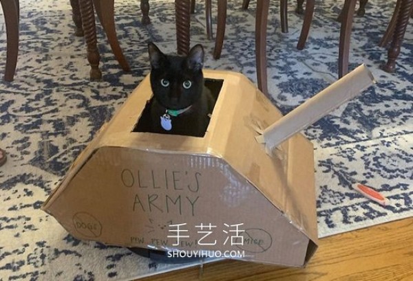 People in quarantine make cardboard tanks for cats