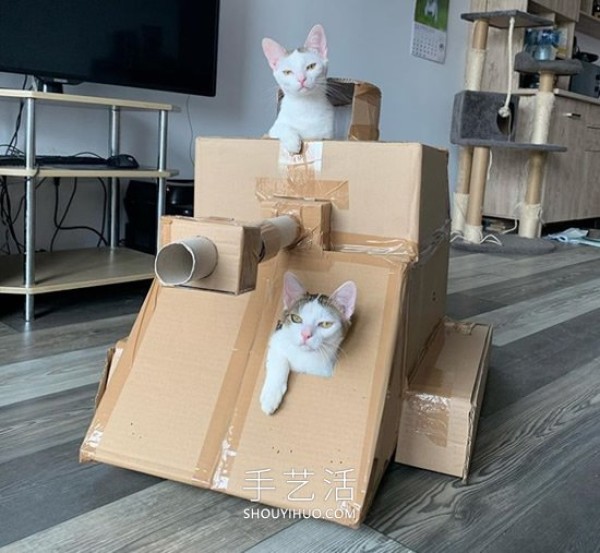 People in quarantine make cardboard tanks for cats