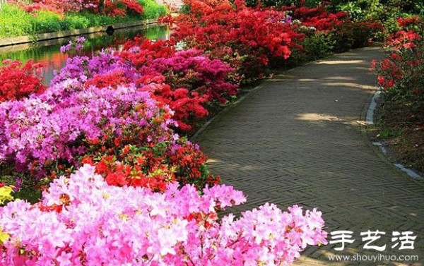 The most beautiful garden in spring - Keukenhof Park