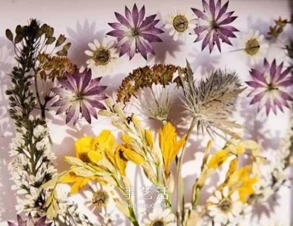 Use pressed flowers to retain the beauty of spring! Dried flower making and pressed flower decorative painting DIY