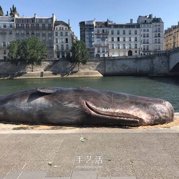 Shocking installation art! Sperm whale "stranded" on the banks of the Seine