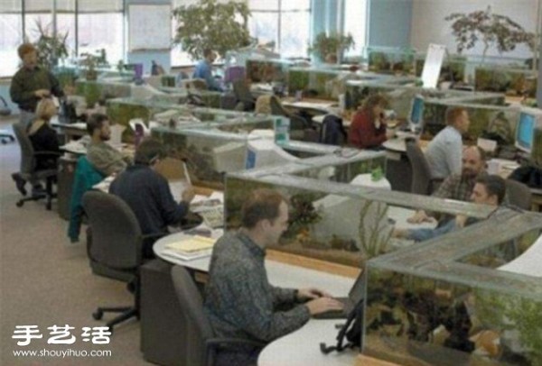 Boss, I want it too! Dream office with aquarium cubicles