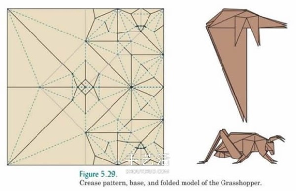 Basic knowledge of origami design, including an introduction to origami technology and snake belly