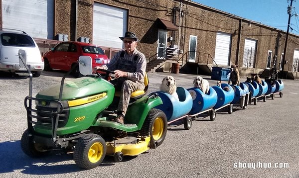 80-year-old man builds a dog-walking train and takes adopted stray dogs for a ride