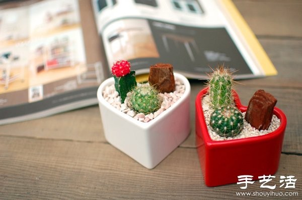 DIY Cute Cactus Potted Plant