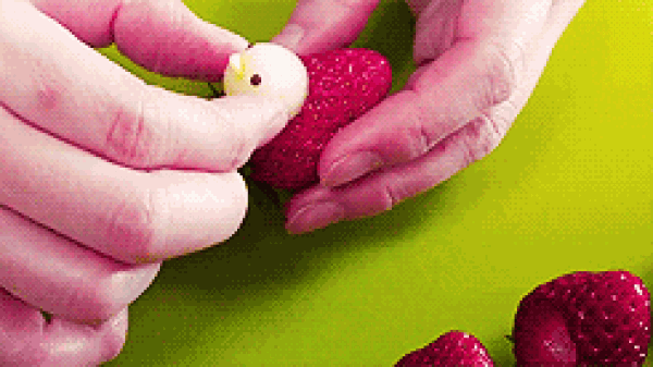 How to make cute apple and strawberry chicks, DIY graphic tutorial of fruit chicks