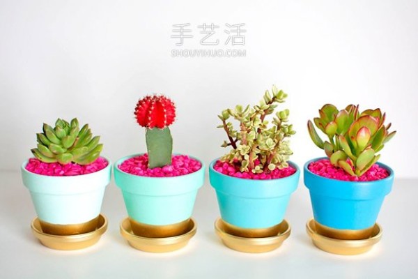 Cartoon drawing of succulent flower pot! Simple hand-painted transformation into super cute style