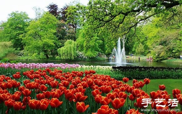 The most beautiful garden in spring - Keukenhof Park