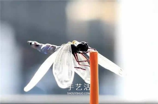 The extremely realistic insect glass sculpture is restored one to one! 