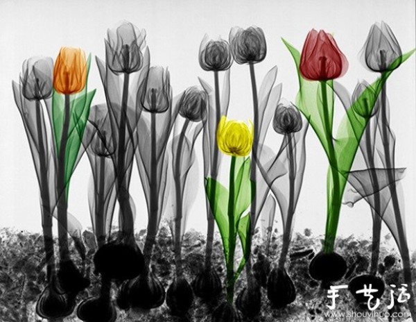 Creative photography works like ink painting