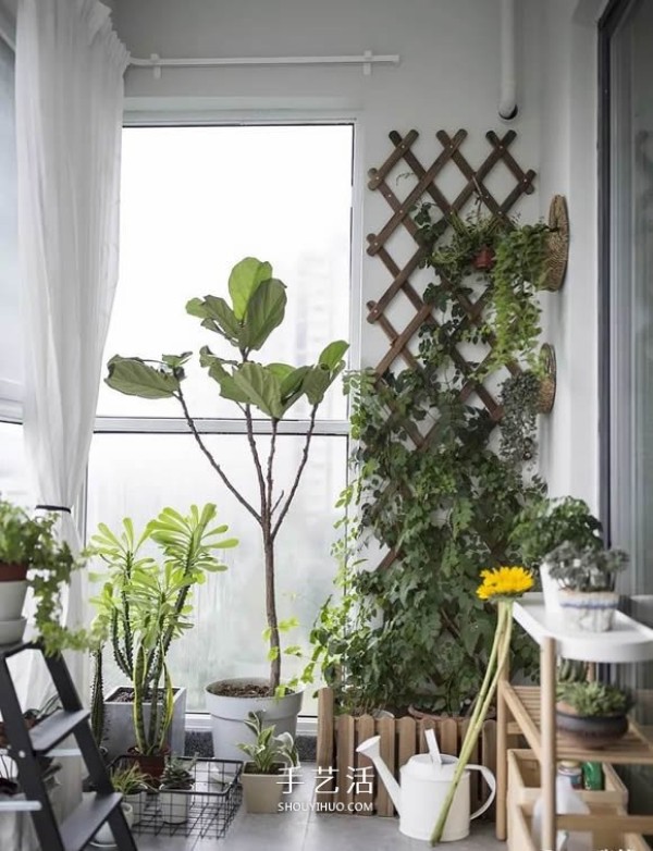 Pictures of flowers on a small balcony, beautiful and space-saving! 