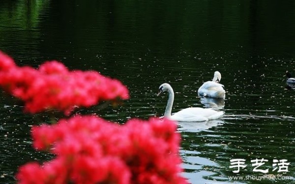 The most beautiful garden in spring - Keukenhof Park