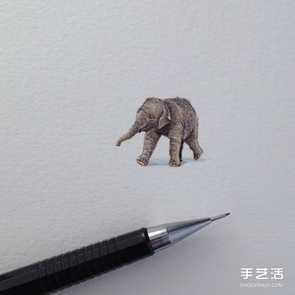 Fine miniature illustrations challenge the limits of detail