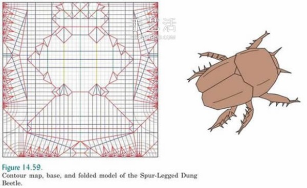 Basic knowledge of origami design also includes an introduction to origami technology and snake belly